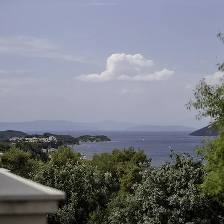 Apartman Dedic *