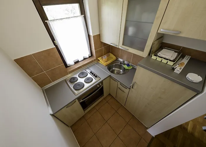 Dedic Apartman *